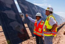 Solar panels in a field