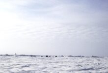 broken Arctic sea ice floating on cold ocean water