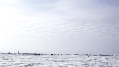 broken Arctic sea ice floating on cold ocean water