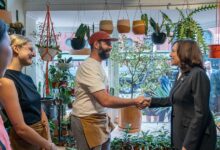 Small Businesses Find New Routes to Credit — illustrative photograph