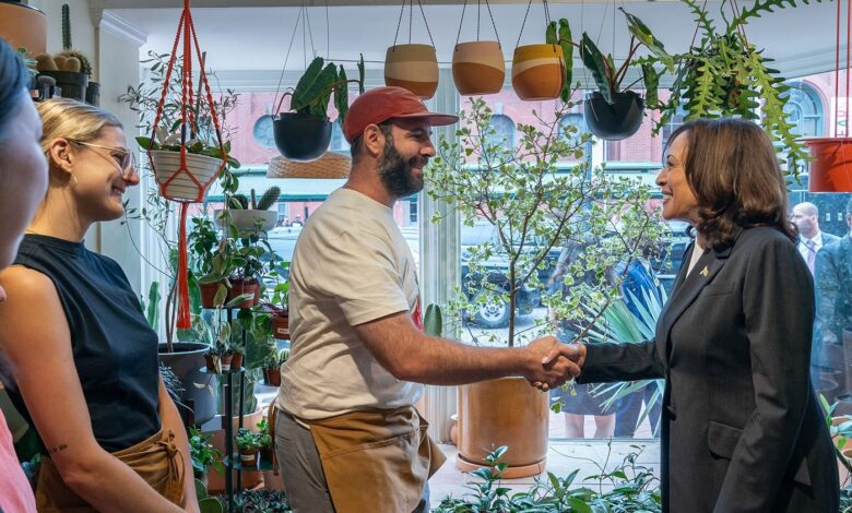 Small Businesses Find New Routes to Credit — illustrative photograph
